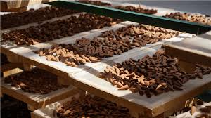 Shangri-La-Tibetan-Incense-Making-01 Shangri-La-Tibetan-Incense-Making-01