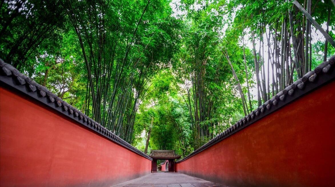 Flowery-Path Flowery-Path