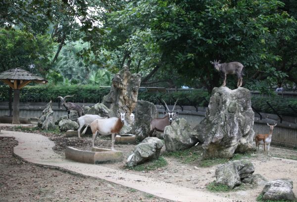 Antelope-House-01 Antelope-House-01