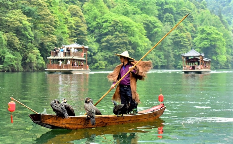 Traditional-Cormorant-Fishing-Performance-Experience-01 Traditional-Cormorant-Fishing-Performance-Experience-01