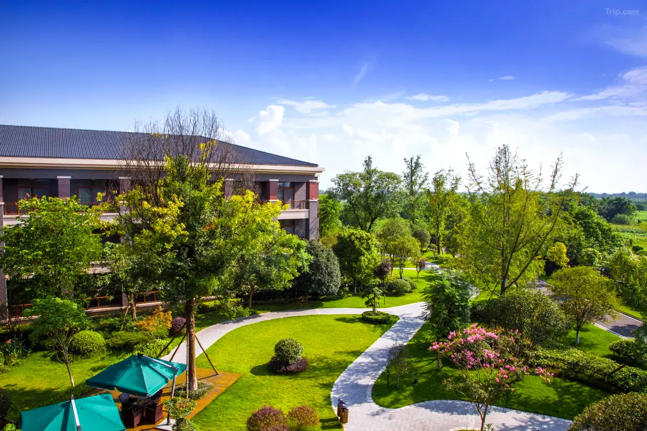 Four-Points-By-Sheraton-Chengdu-Anren Four-Points-By-Sheraton-Chengdu-Anren